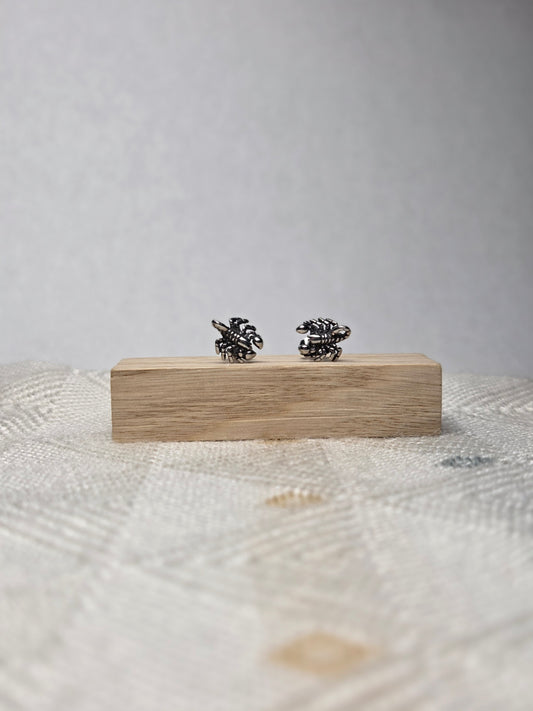 men's earrings N: 243