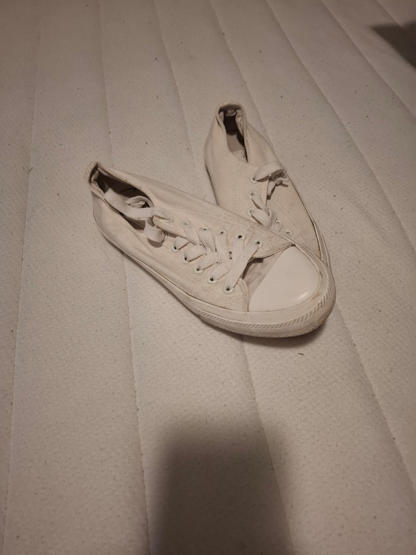 Springfield skór 39