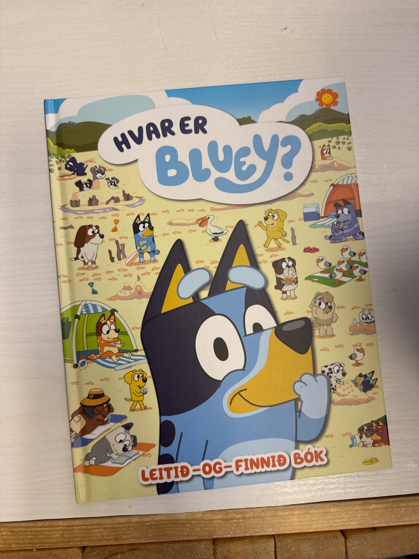 Hvar er Bluey NÝ