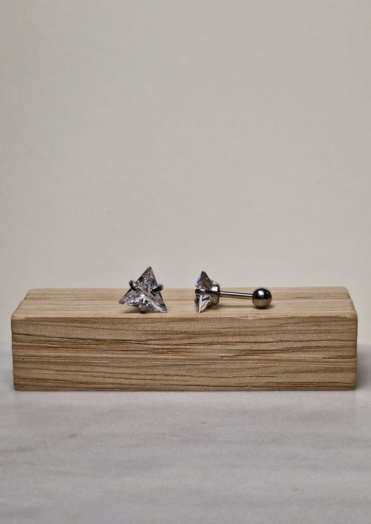 men's earrings N: 195