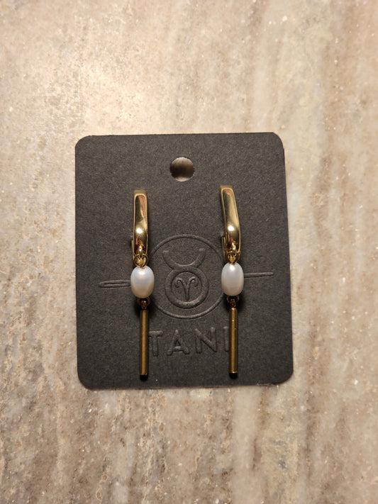 earrings N: 290