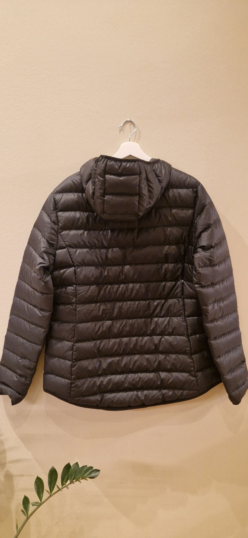 Xxl kvk, Cintamani úlpa 