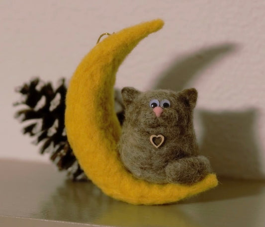 Cat on the moon