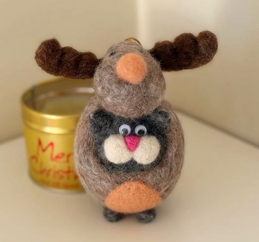 Reindeer cat