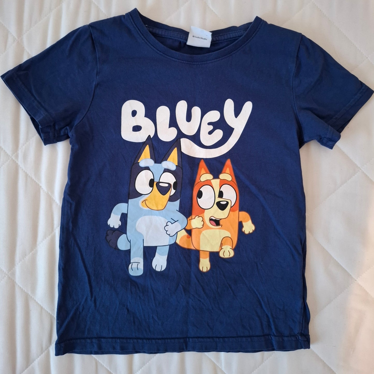 Bluey bolur