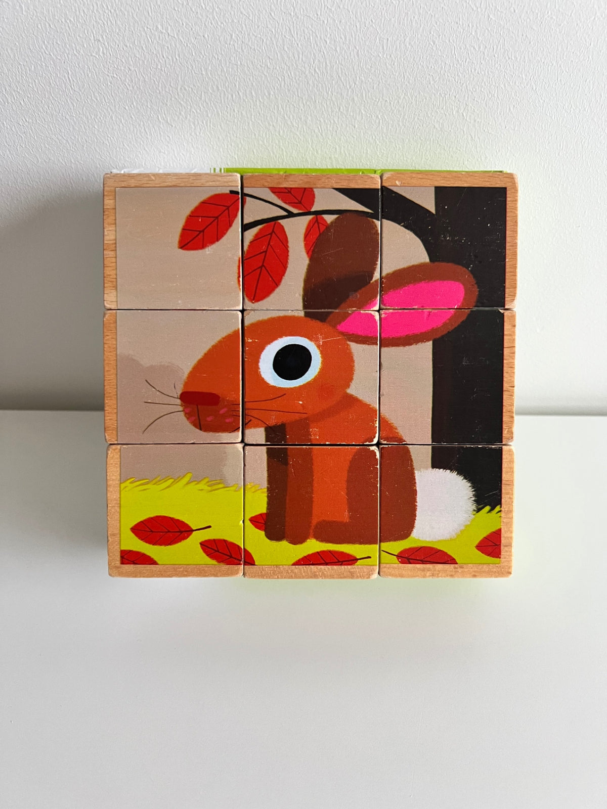 Djeco cubes