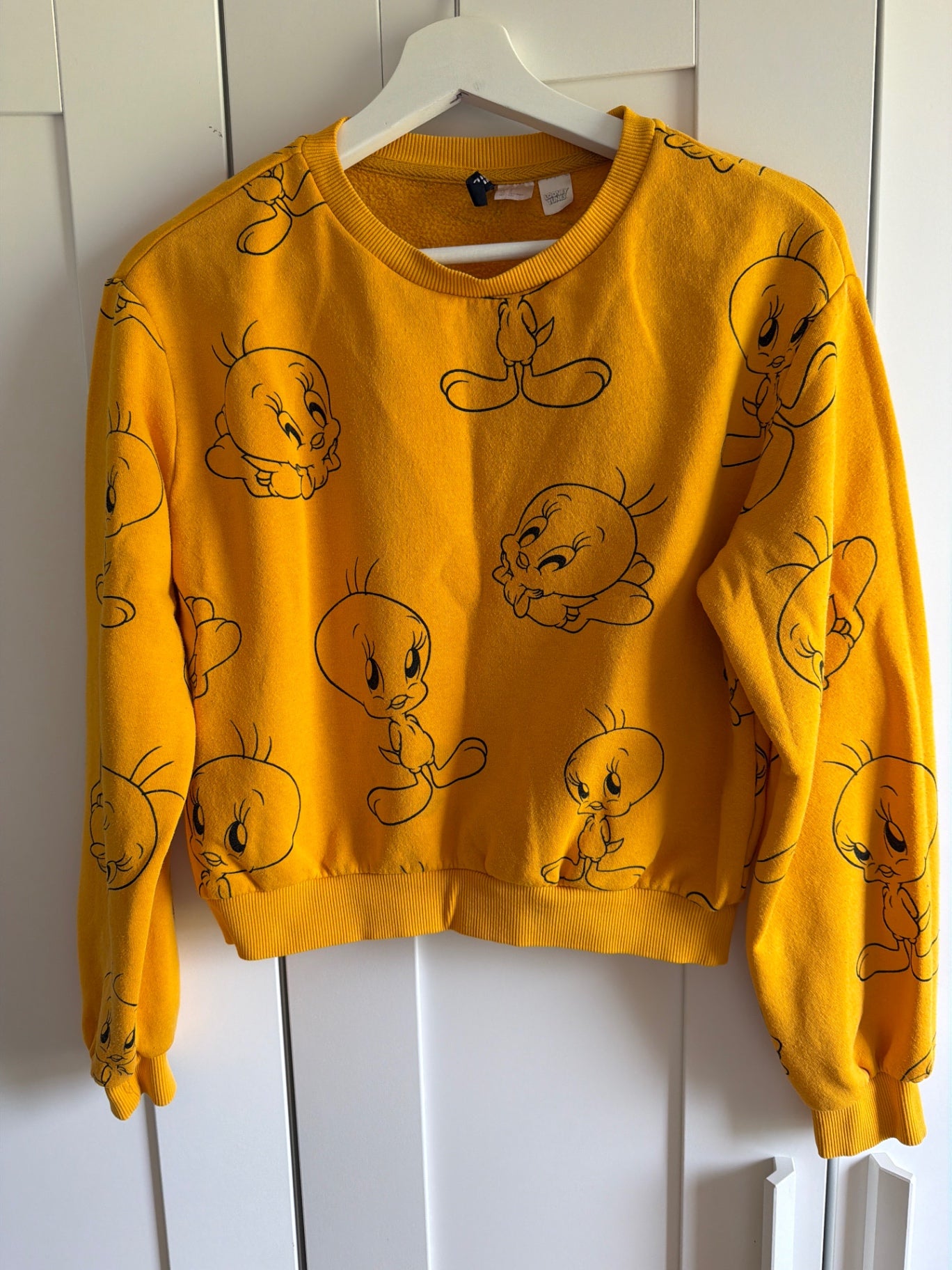 H&m looney tunes sweater S