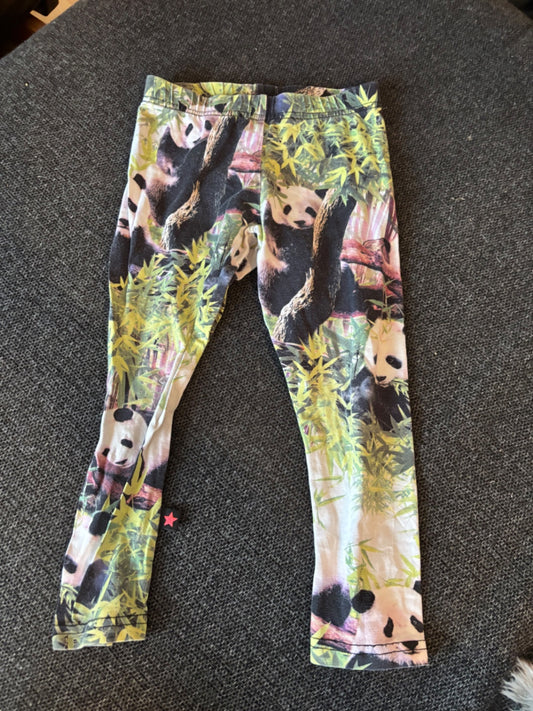Molo buxur panda 98