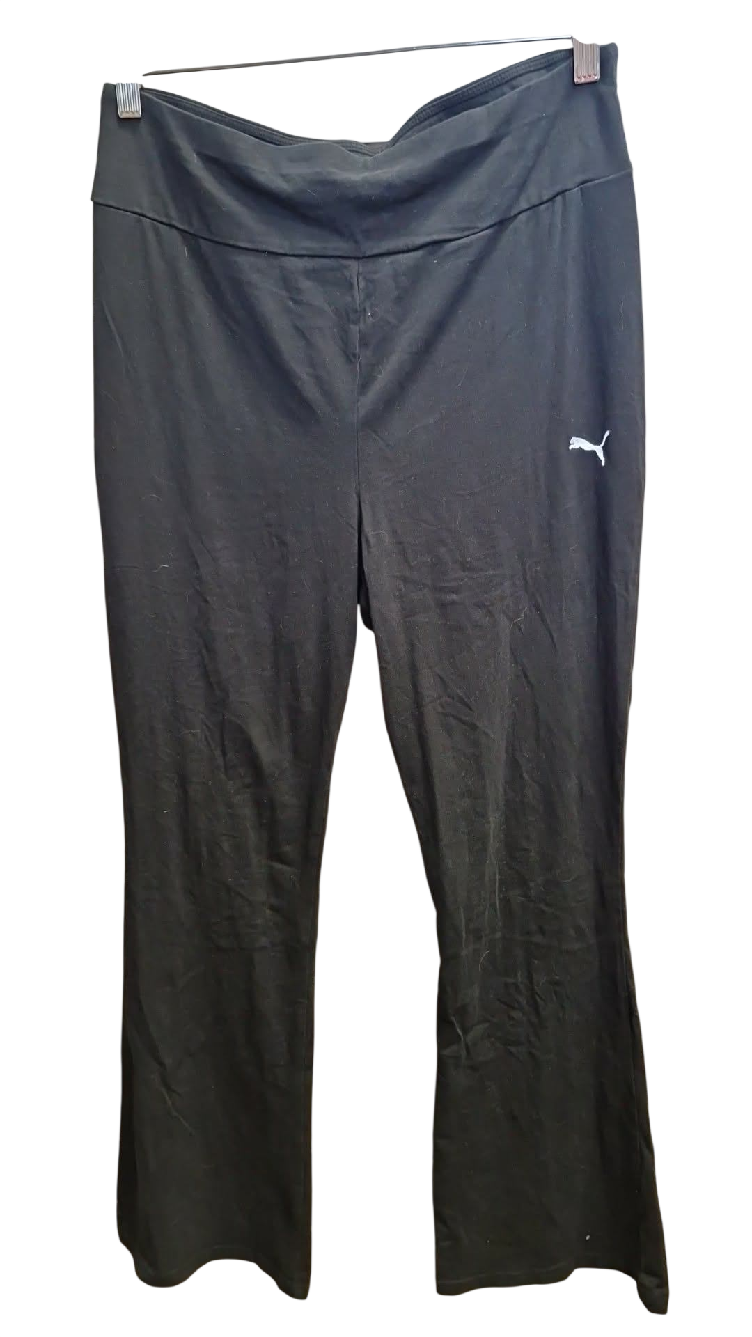Puma buxur L