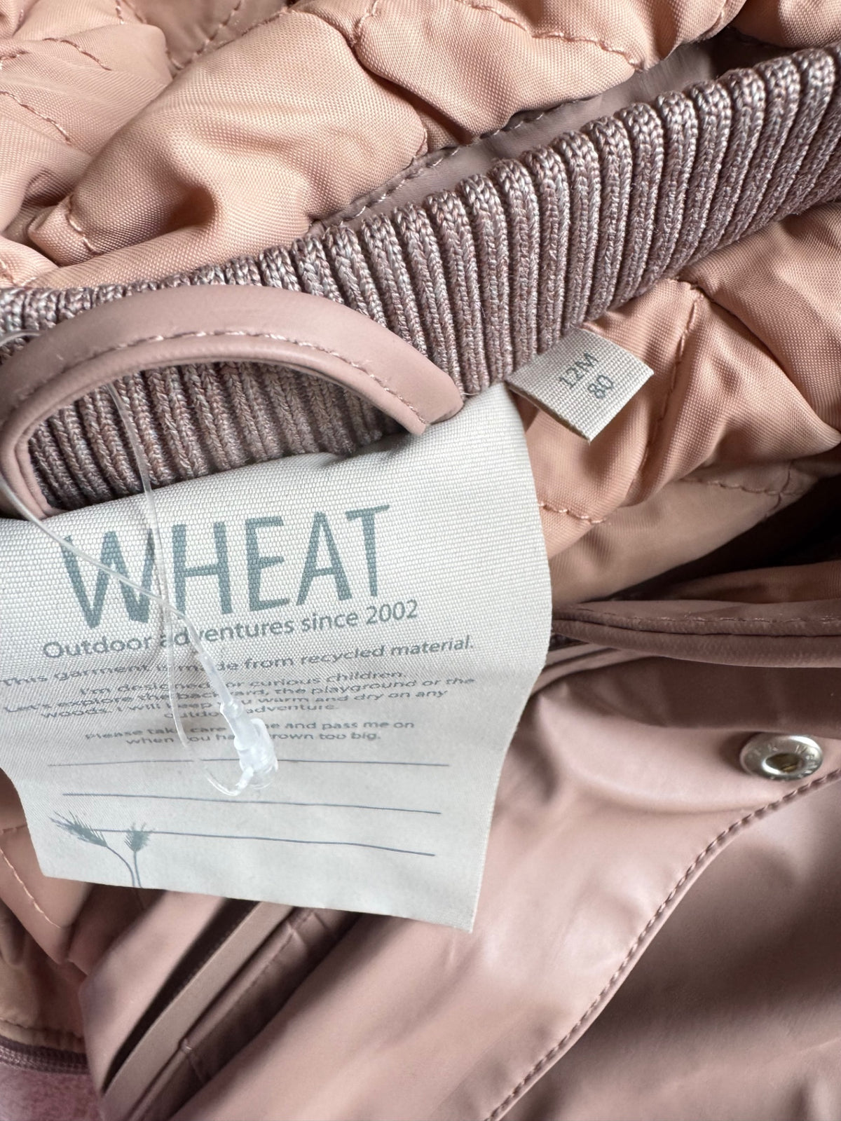 WHEAT POLLAGALLA 80