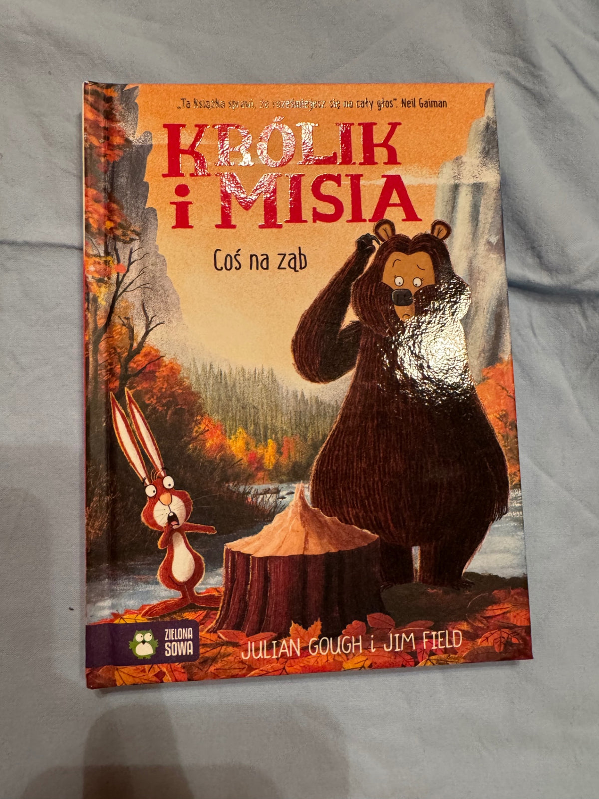 Bók Misia nýja P