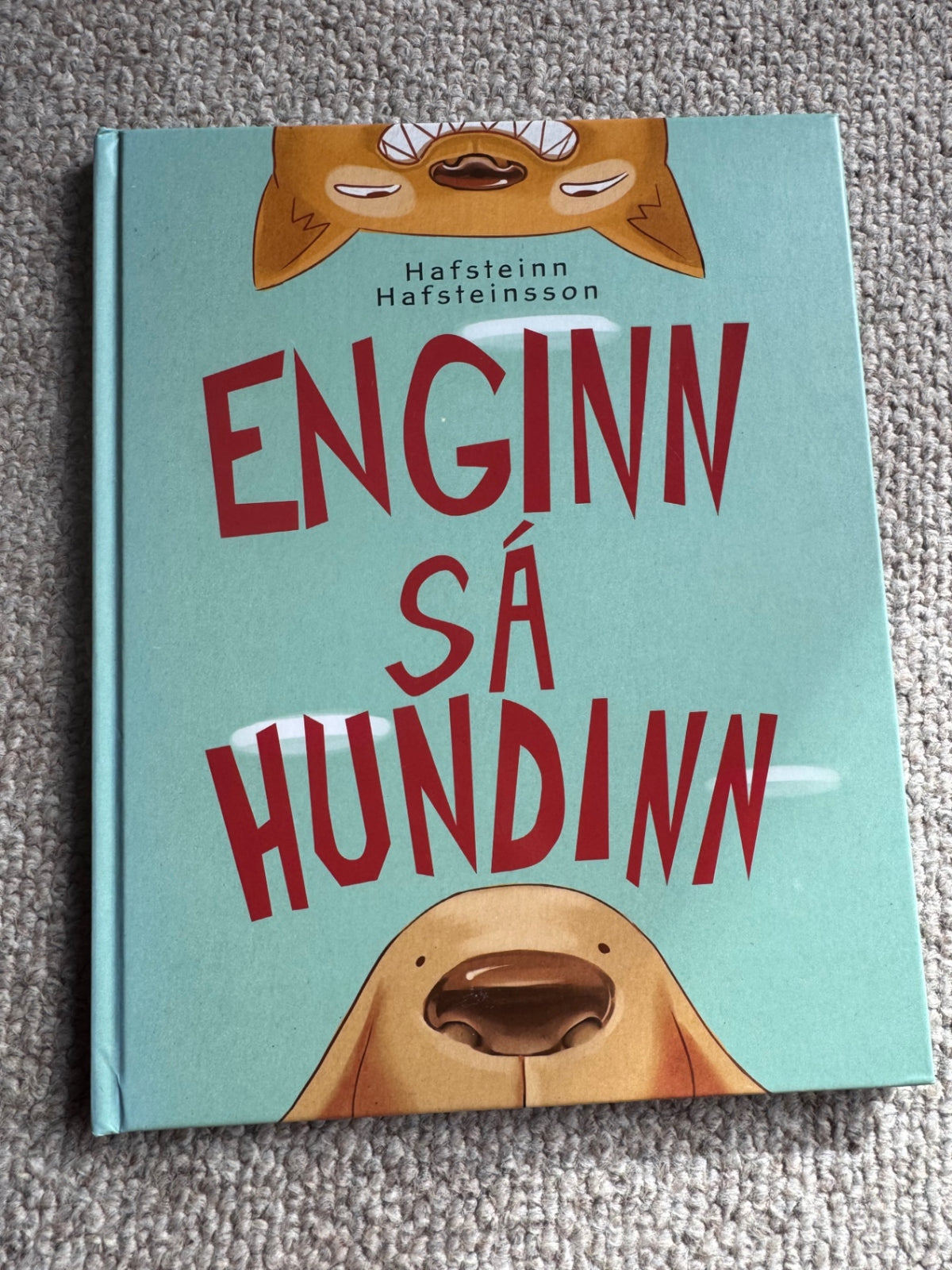 Enginn sá hundinn 