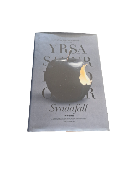 Bók Syndafall